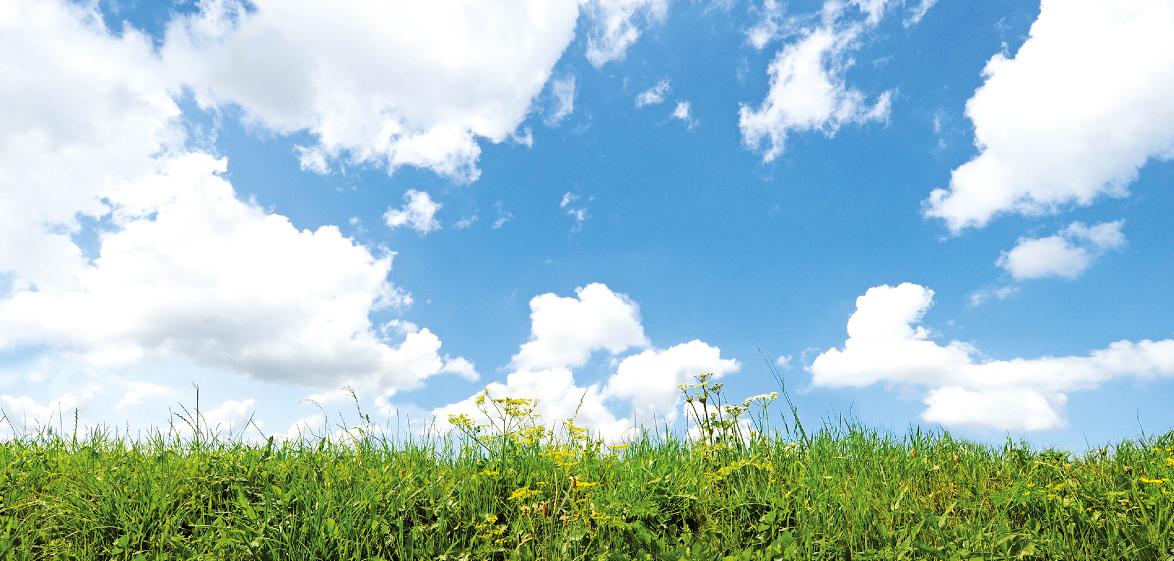 Header dedraai