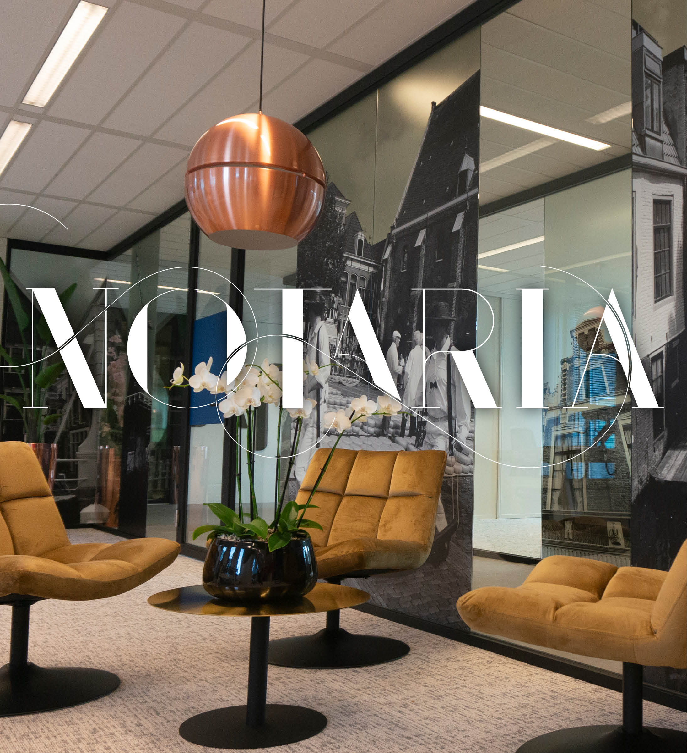 THEXXX XX website ons werk overzicht notaria lr
